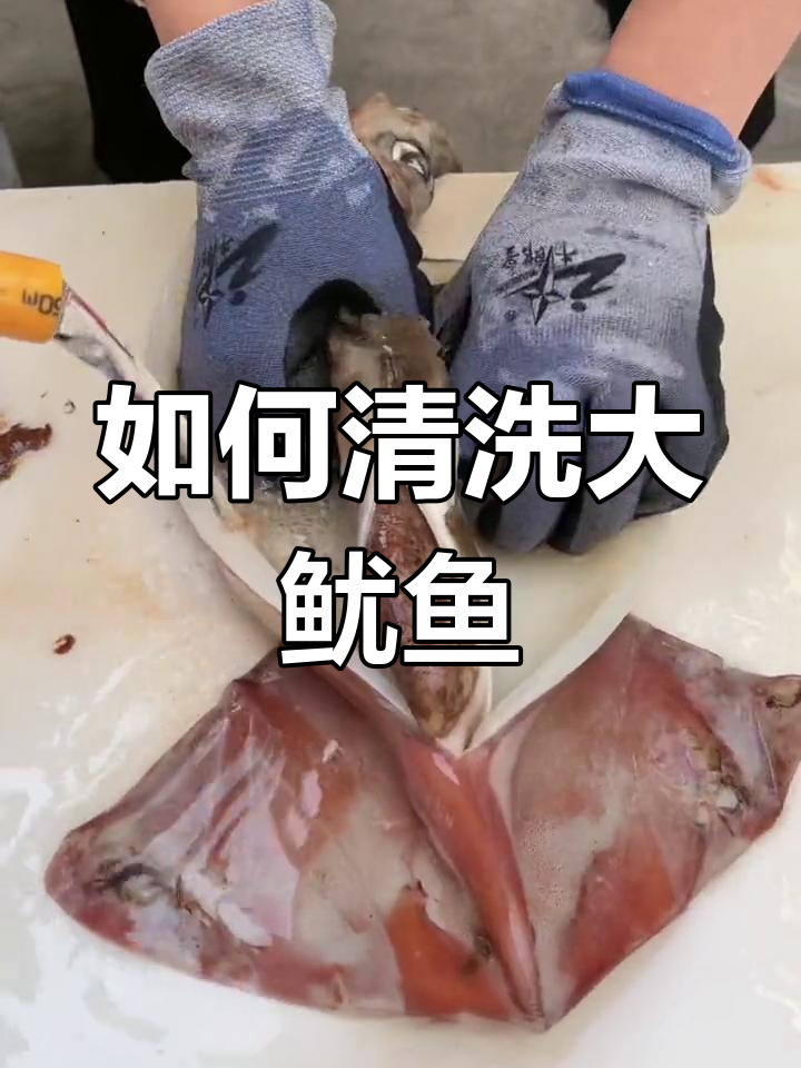 清理大鱿鱼全攻略,教你轻松去内脏和黑膜