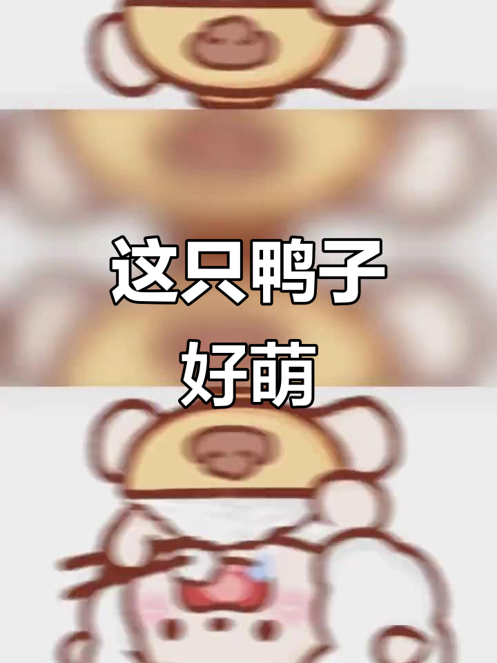 喜欢这组鸭，太可爱了！