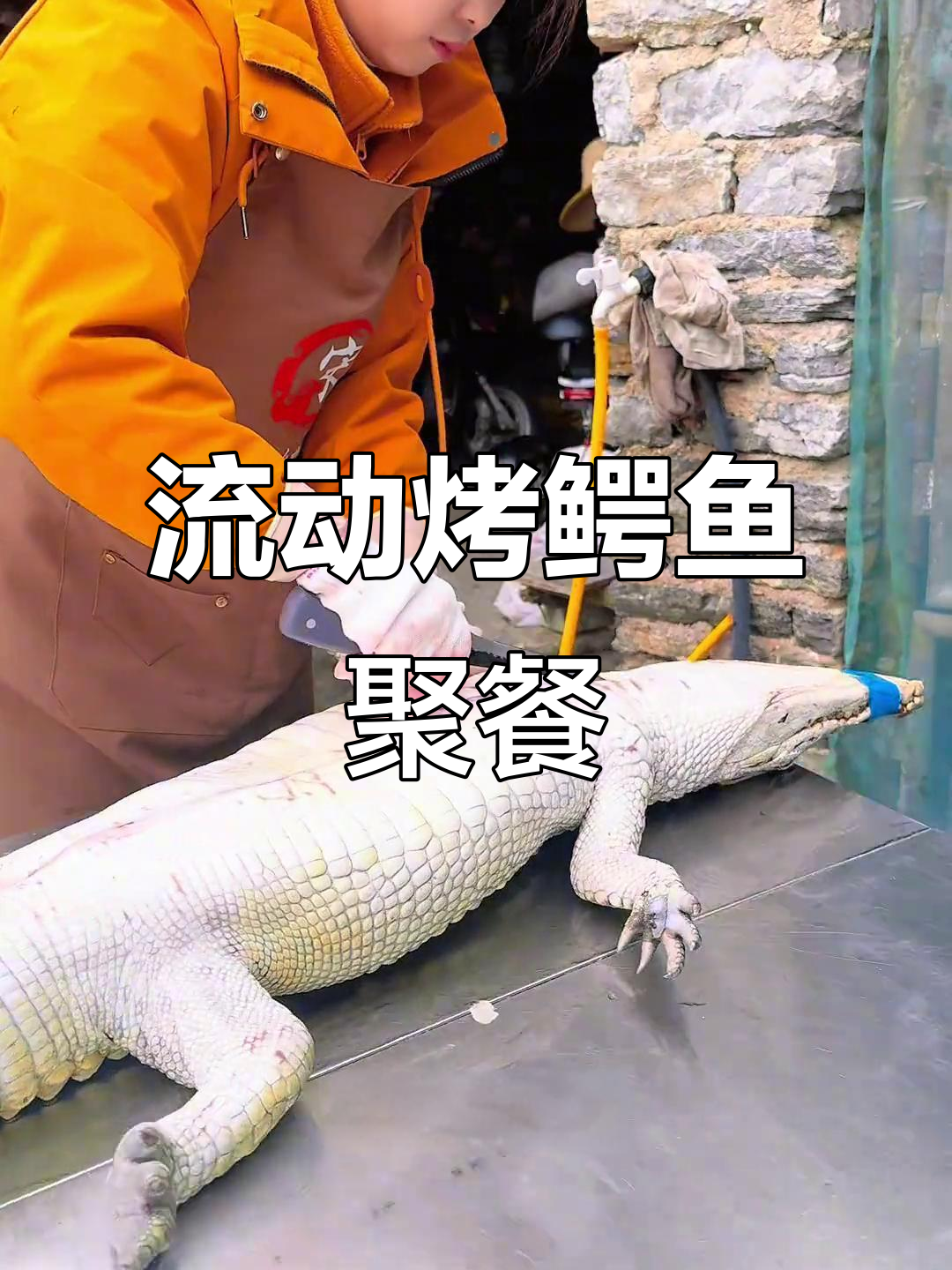 厦门翔安烤鳄鱼大餐,生日聚会必备海鲜与火焰美食