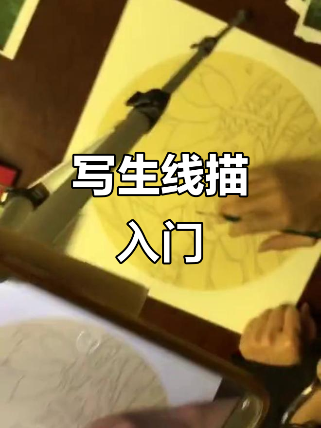 二牛老师教你写生线描技巧,灵活变通与细节丰富