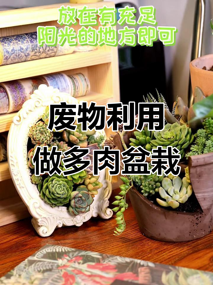利用废花盆和相框打造个性多肉组合盆栽,简单又有趣