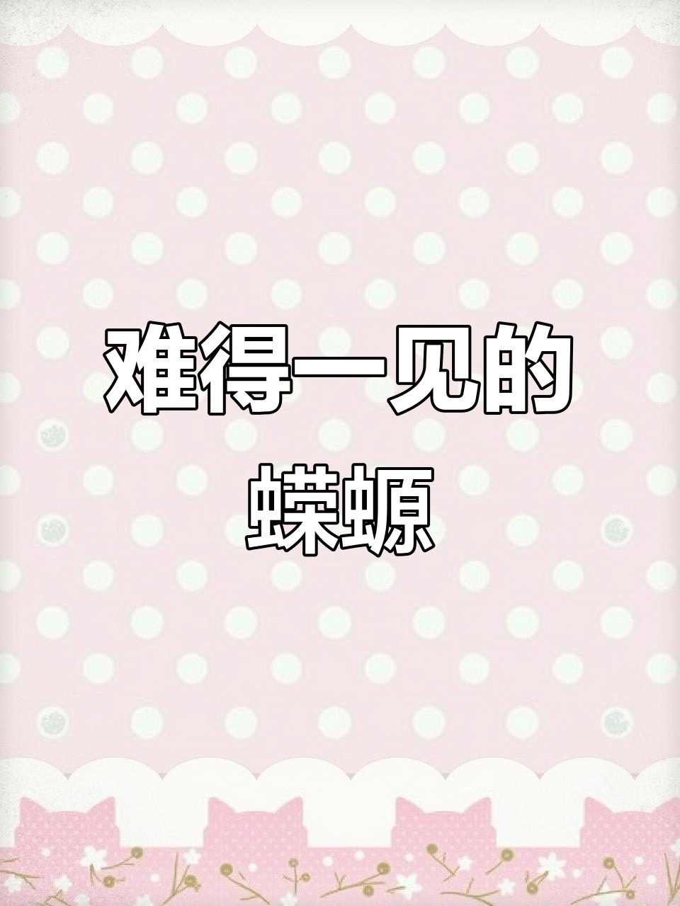 蝾螈罕见现身,可爱表情让人忍俊不禁