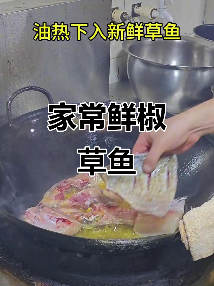 鲜椒草鱼焖煮,家常湘菜做法大揭秘