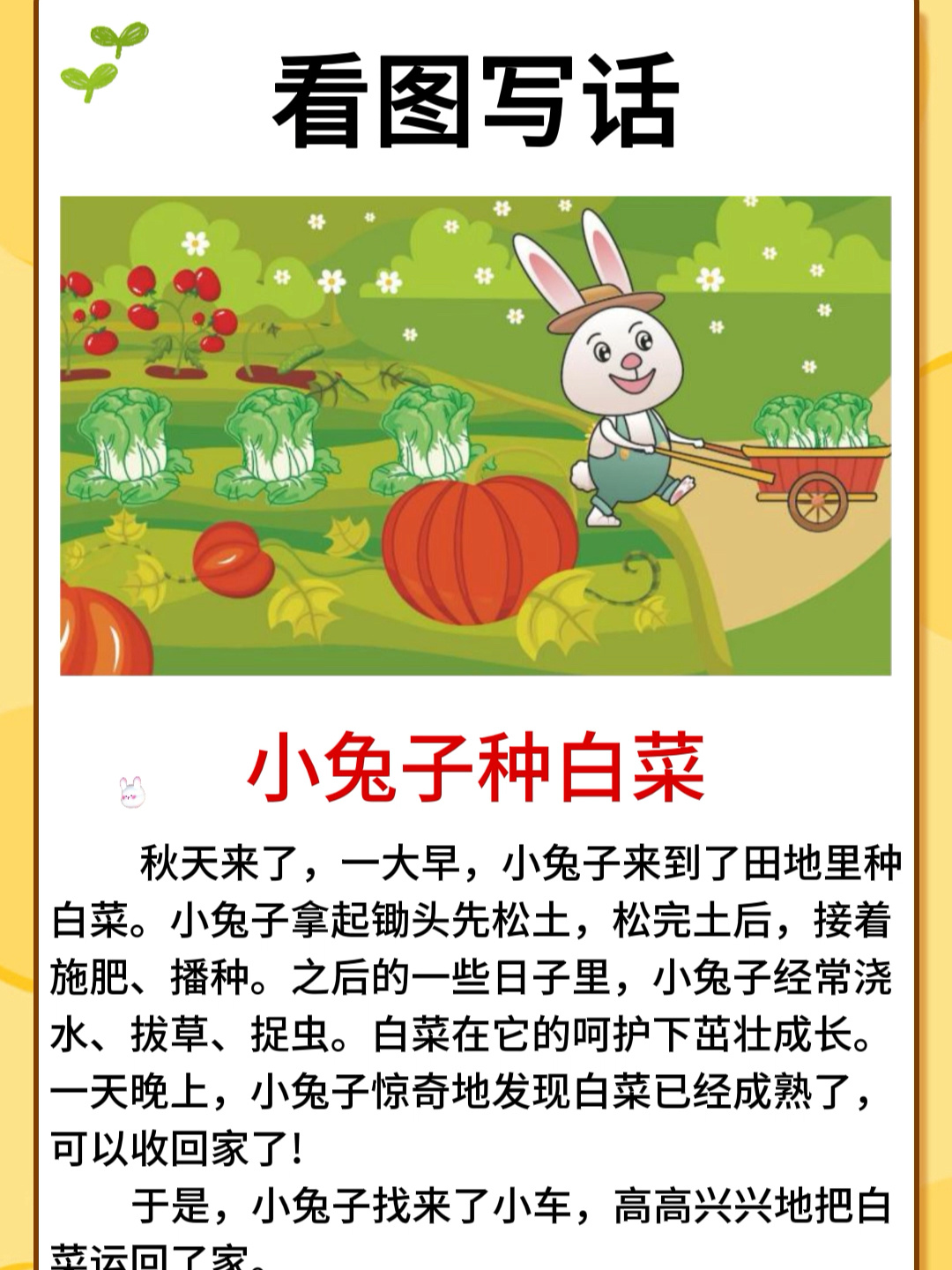 看图写话范文|《小白兔种白菜》