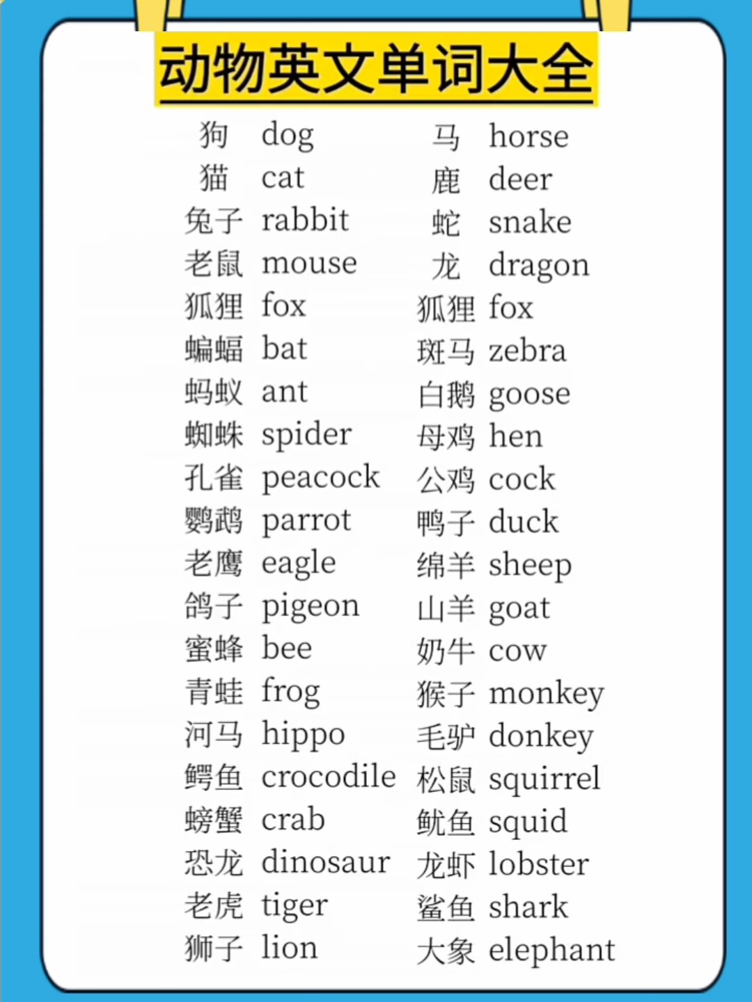 动物英文单词