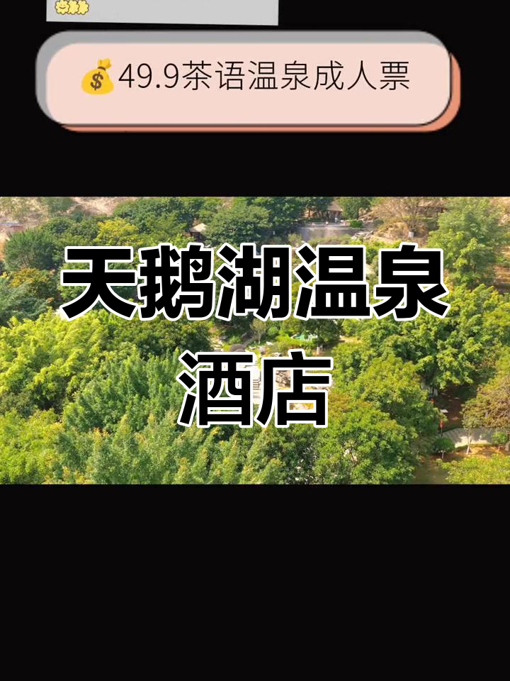 英德宝晶宫天鹅湖温泉酒店,尽享茶语与全景