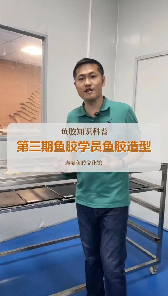 鱼胶产地溯源学员鱼胶造型