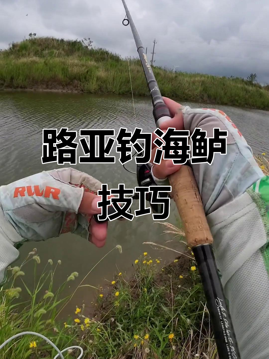 海鲈钓鱼技巧大揭秘,如何用路亚钓获美味海鲈