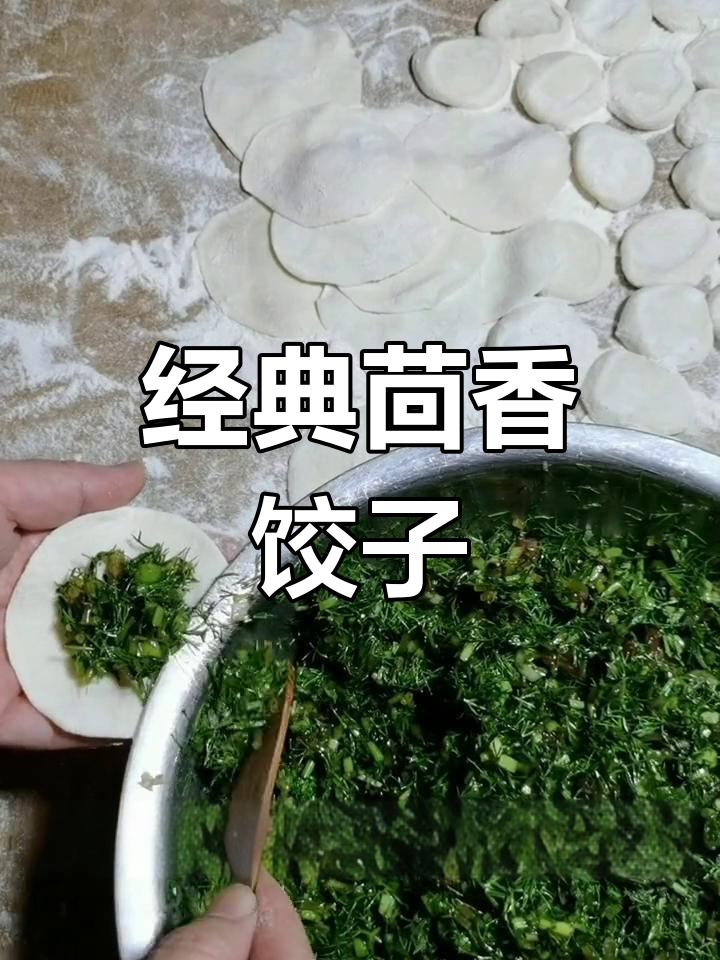 茴香猪肉水饺的做法