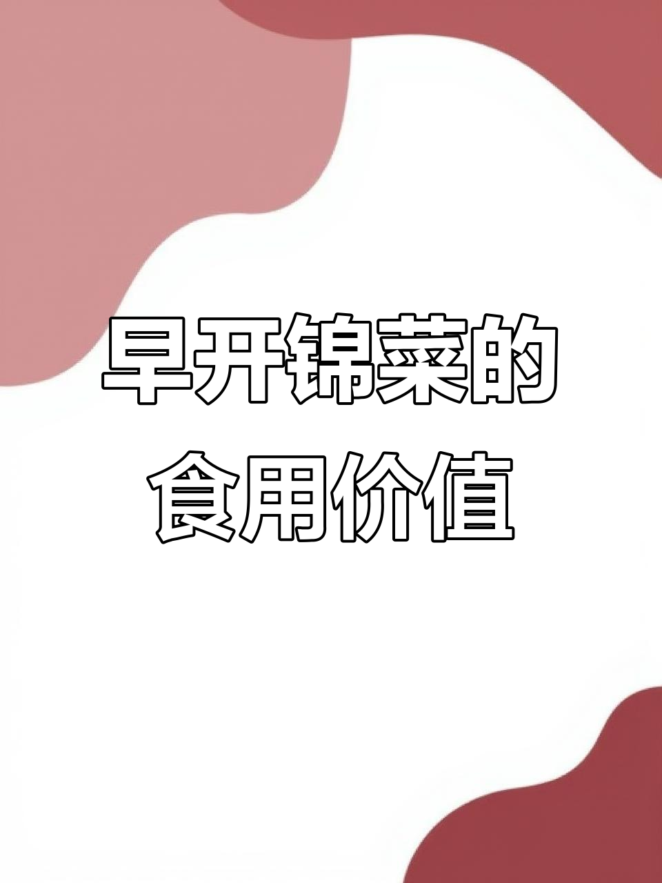 早开堇菜:紫花地丁的“亲戚”,竟是美味野菜!