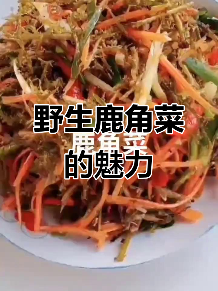 野生鹿角菜，纯天然健康美味，无公害营养满满