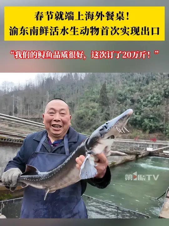 “我们的鲟鱼品质很好，这次订了20万斤！”2月4日，一批价值31.2万元产自重庆石柱县的鲜