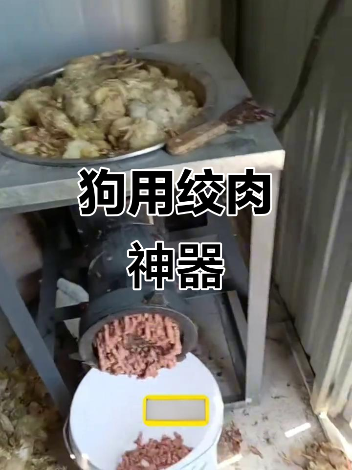 喂狗绞肉机轻松处理毛鸡,细腻效果让人惊艳