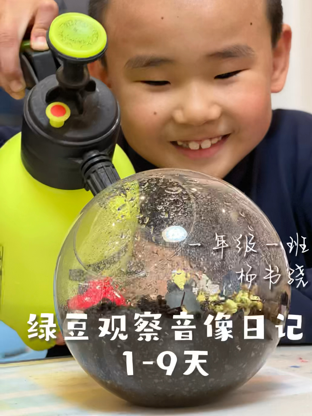 一年级 绿豆观察日记