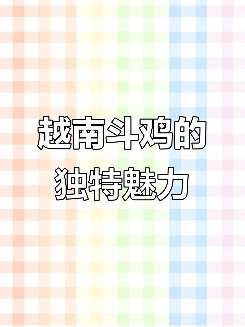 越南斗鸡:罕见怒情金爪,高管踢胸打背超重腿