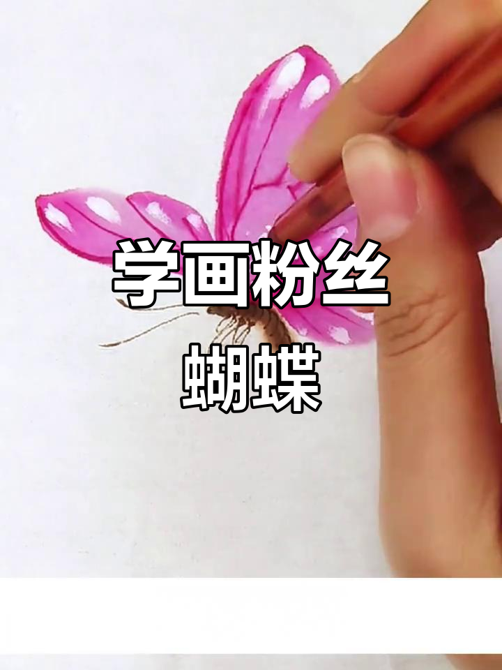 仙气飘飘的粉色蝴蝶画法,简单步骤教你画出美丽翅膀