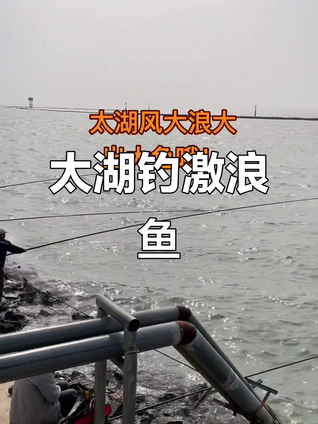 激浪鱼钓点揭秘,太湖钓鱼之旅