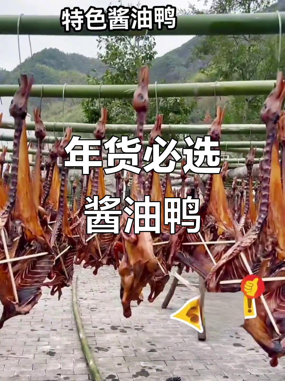温州酱油鸭,传统美味,年货必备,色香味俱全!