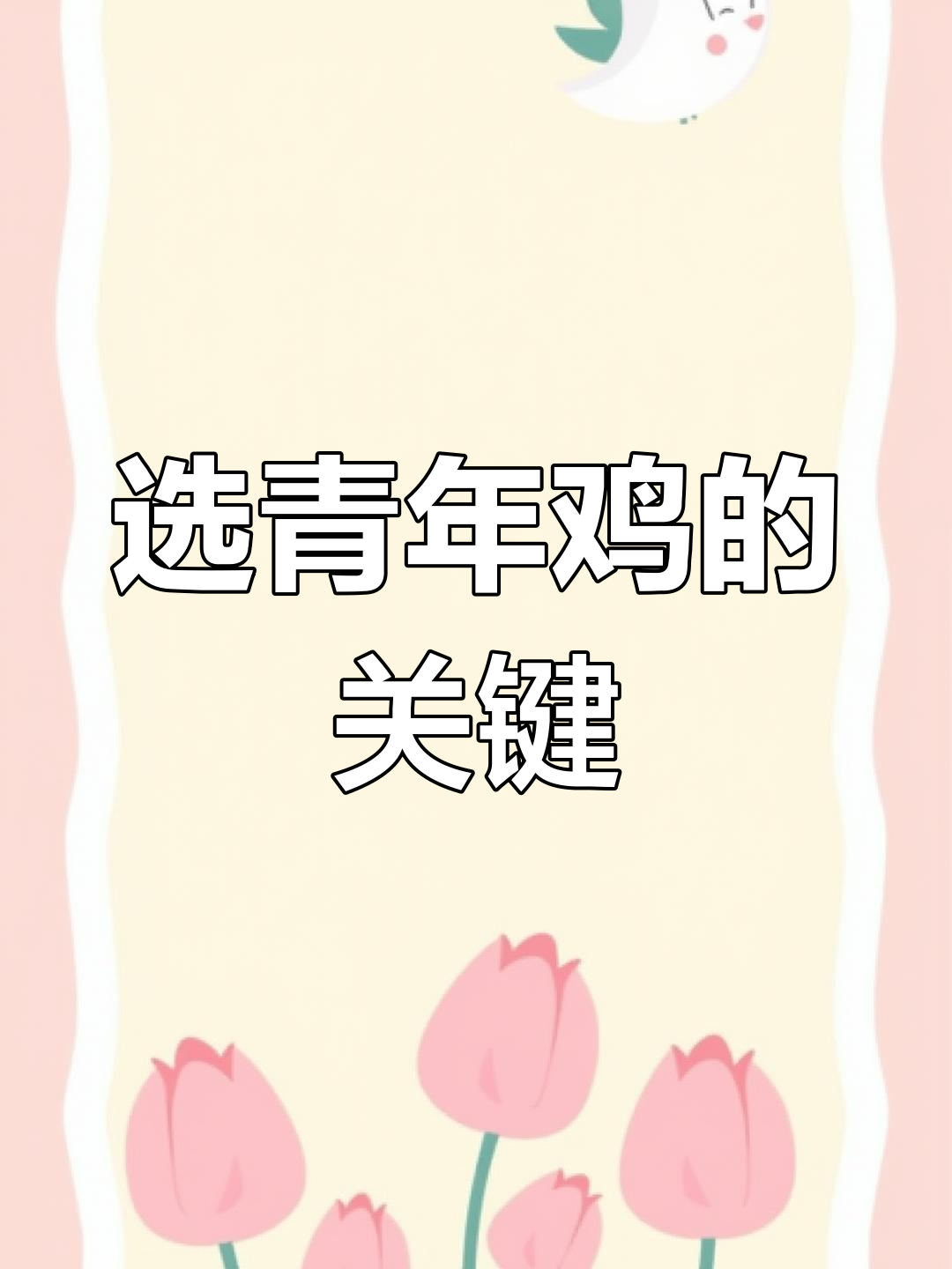 如何挑选青年鸡?这几点决定品质