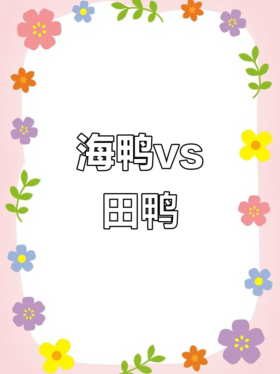 湛江海鸭与田鸭大比拼,哪种更美味?