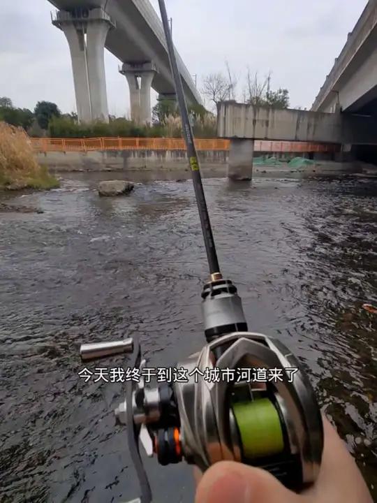 成都四环路内微物路亚探钓,没想到城市河道有这样的资源 感谢一下这几年的环保部门,以前哪有桃