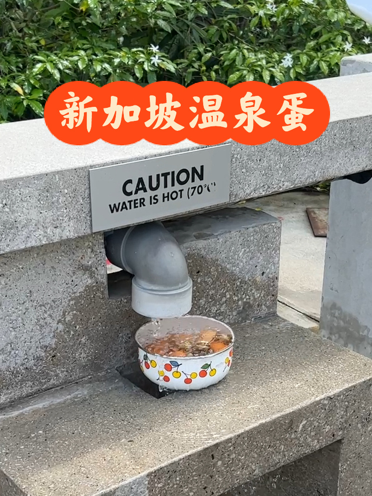 新加坡唯一的温泉煮蛋+泡脚