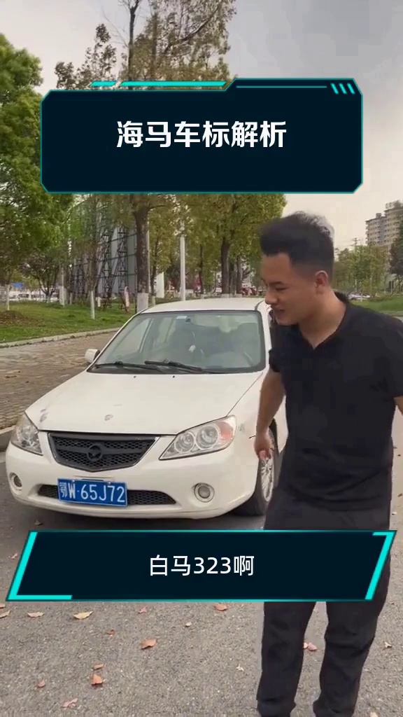 海马车标解析