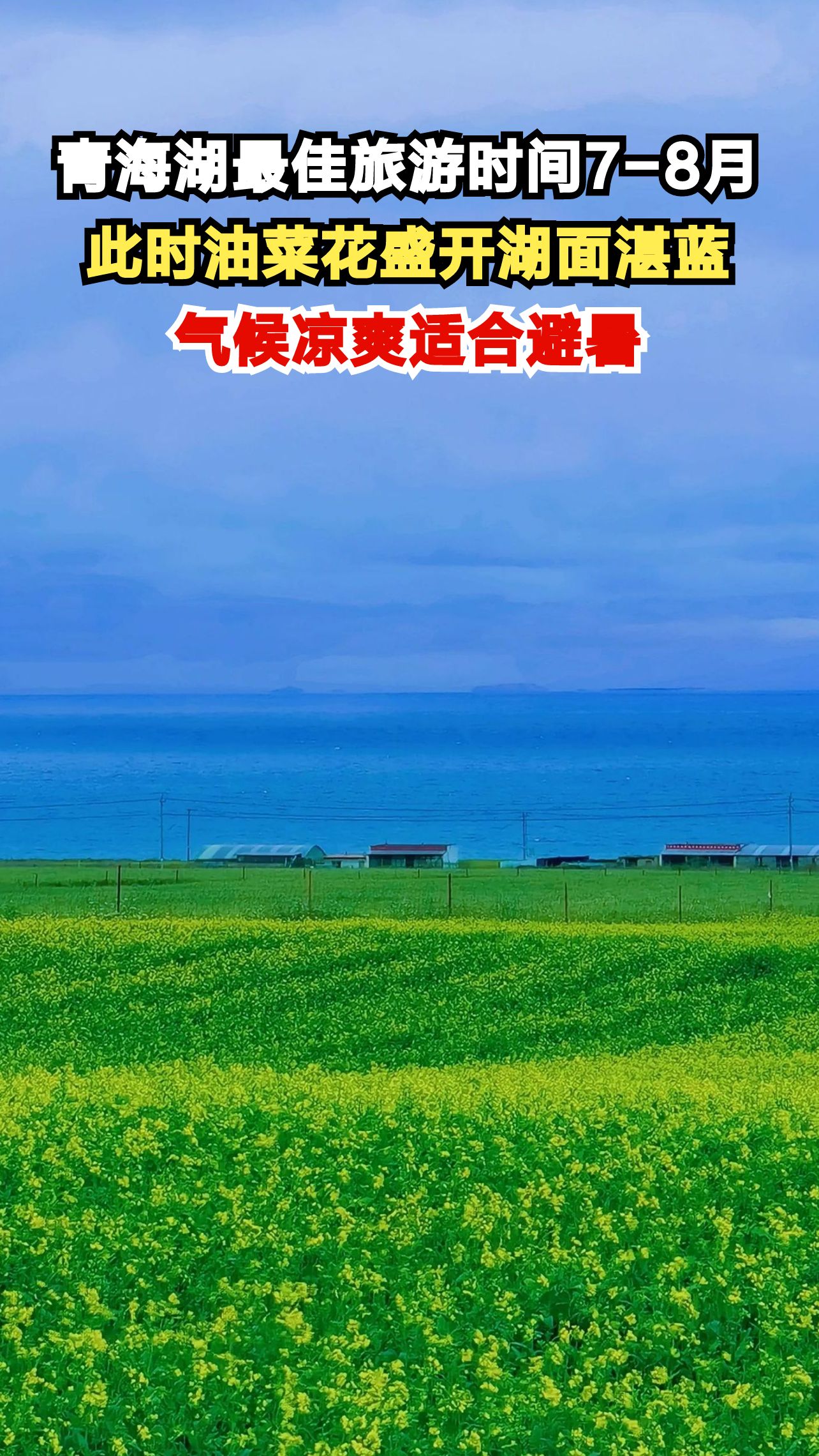青海湖最佳旅游时间7-8月,此时油菜花盛开湖面湛蓝,气候凉爽适合避暑