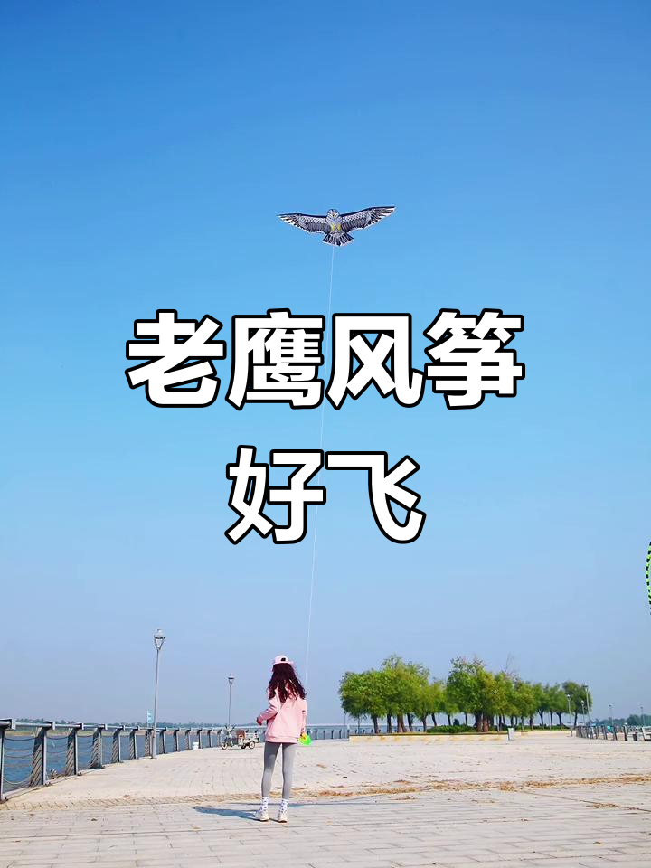 精致老鹰风筝,微风中翱翔