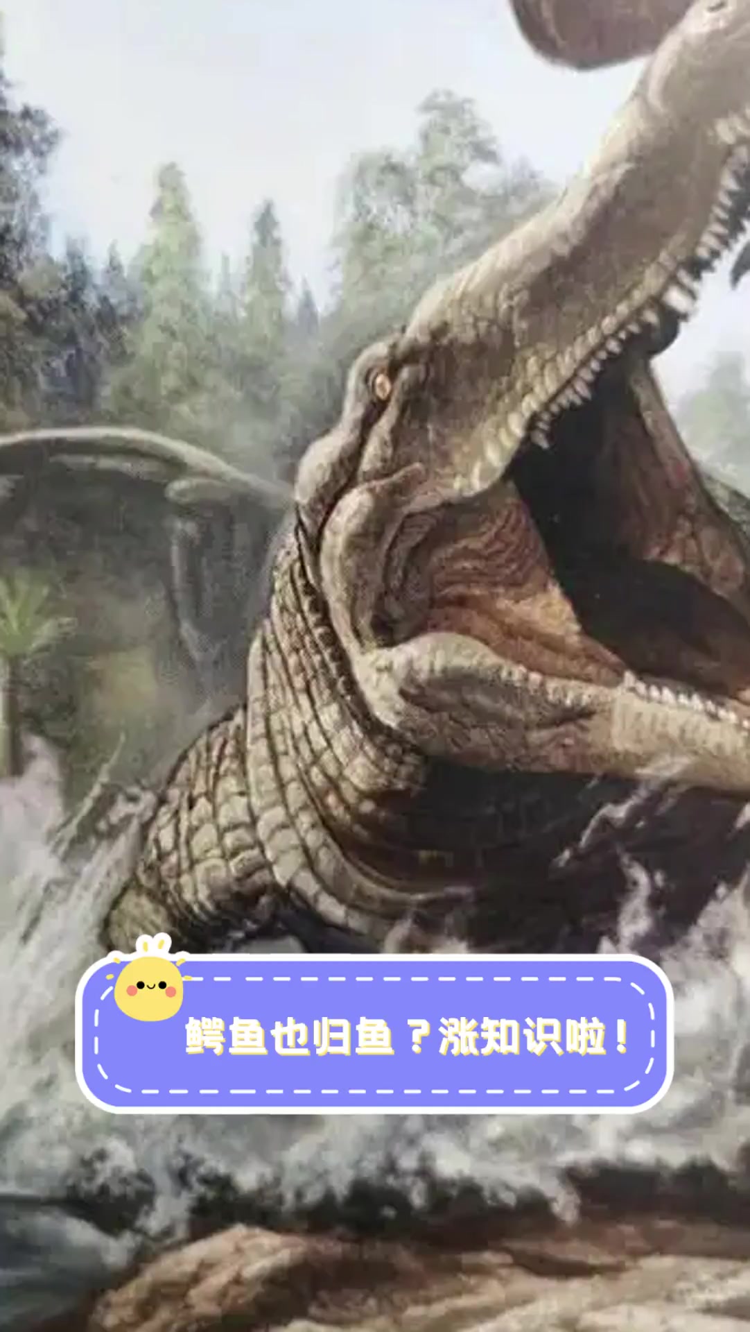 鳄鱼也归鱼?涨知识啦!