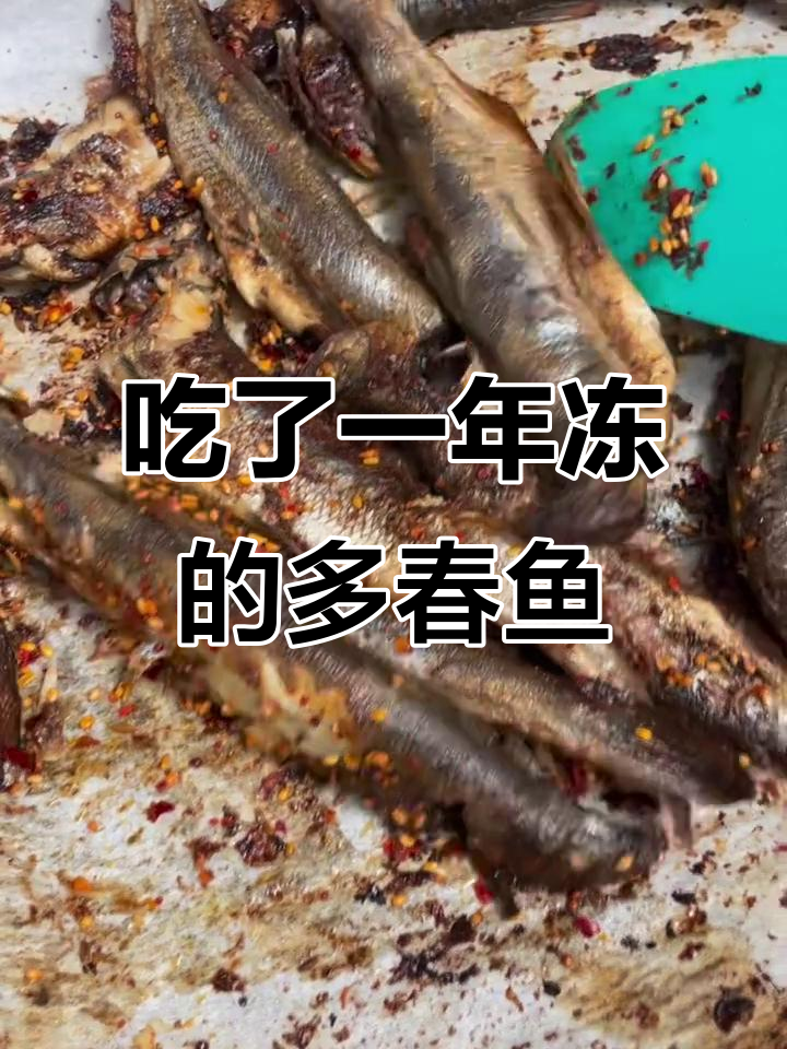 冷冻一年的多春鱼，竟然还能吃！