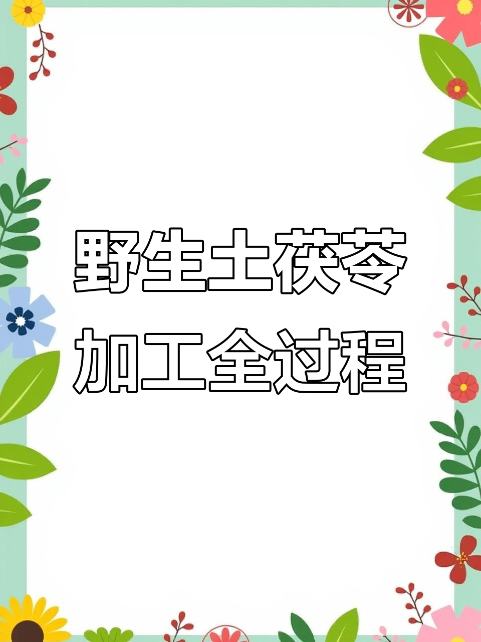 野生土茯苓制作揭秘：从挖果到切片的完整过程