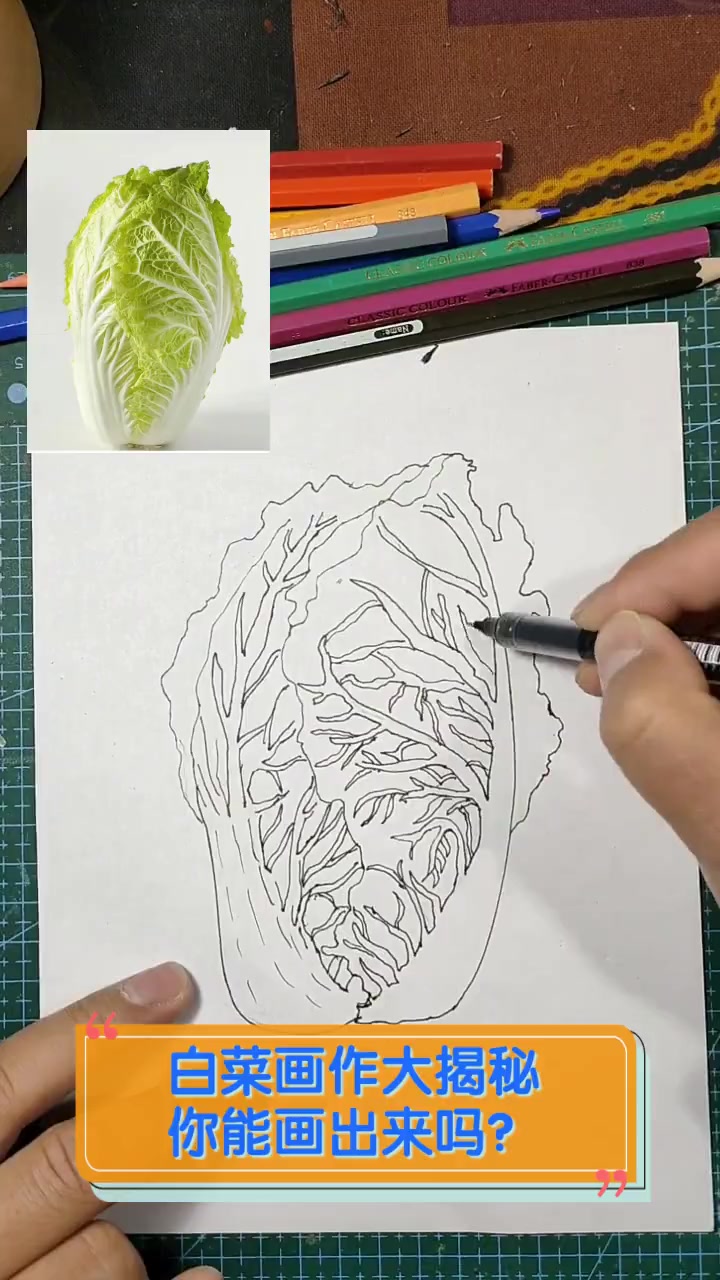白菜画作大揭秘,你能画出来吗?
