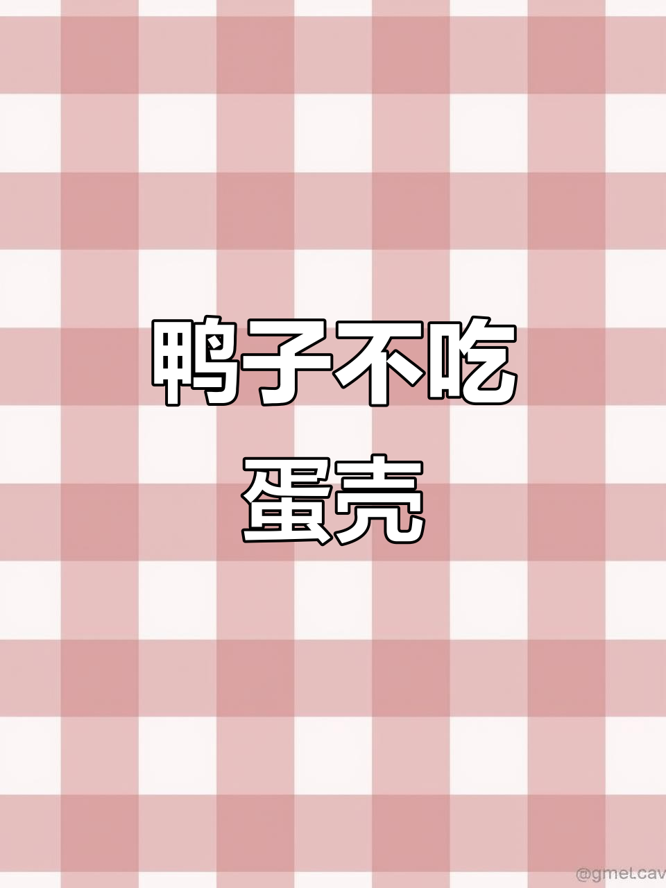 姐姐喂鸭蛋壳补钙,结果它不领情!