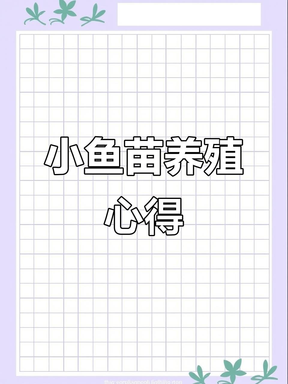 迷你鹦鹉鱼苗养殖技巧：从换大房子到水质管理全攻略