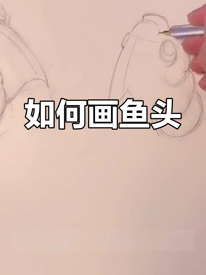 绘制鱼头技巧:从基础到创意