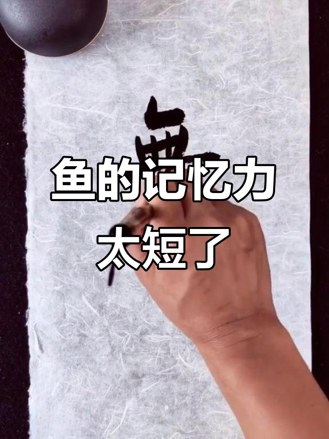 鱼只有三秒记忆,真想变成一只无忧无虑的鱼儿!