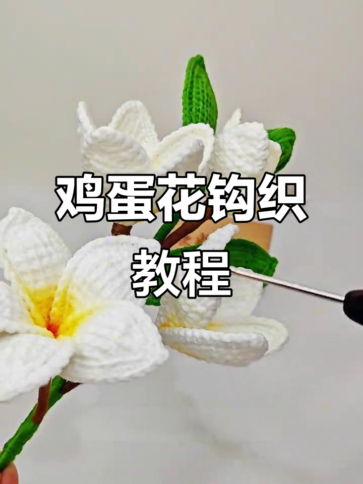 鸡蛋花钩织,简单又美丽,象征希望与纯真