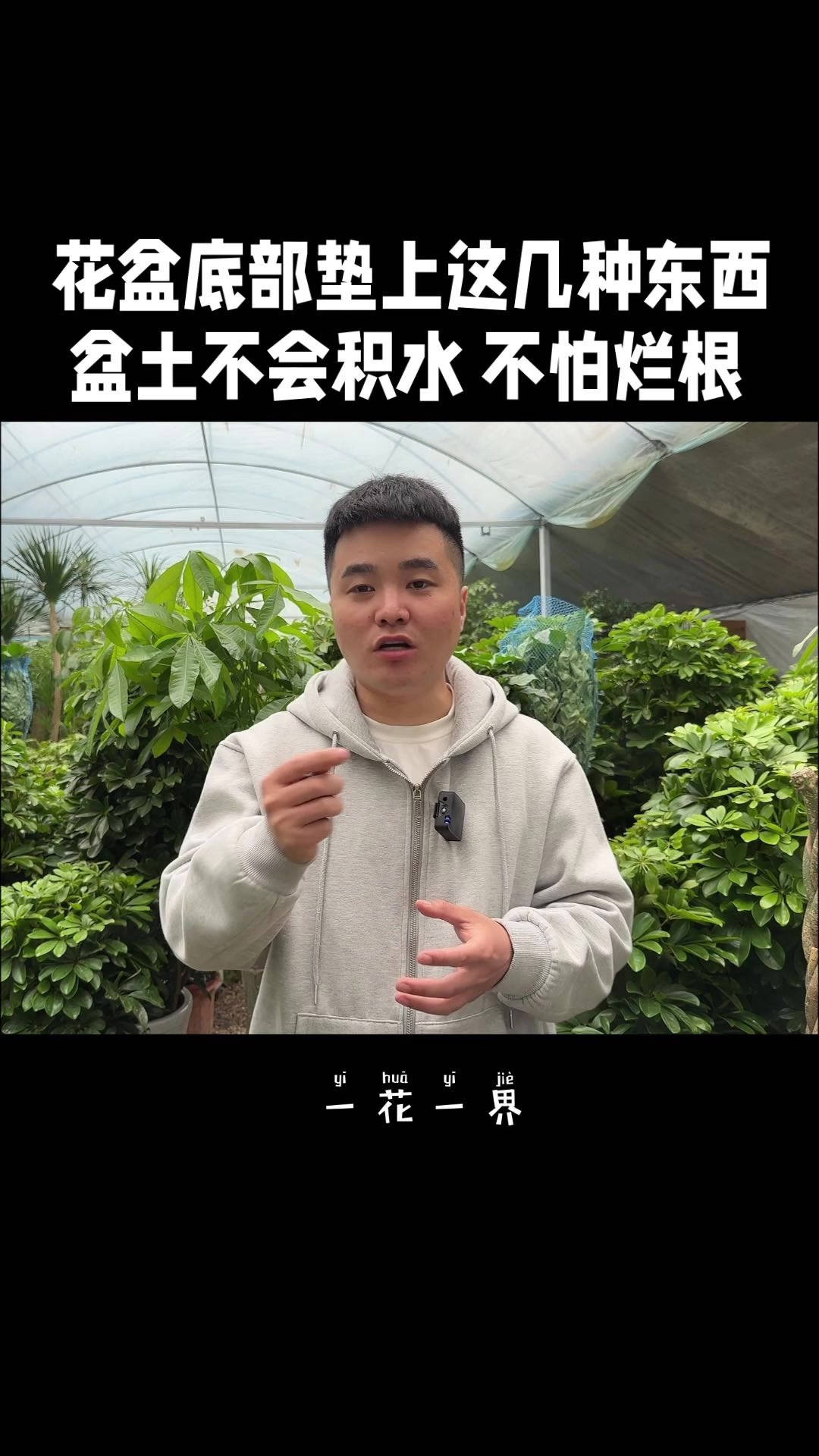 花盆底部垫上这几种 盆土不会积水 不怕烂根