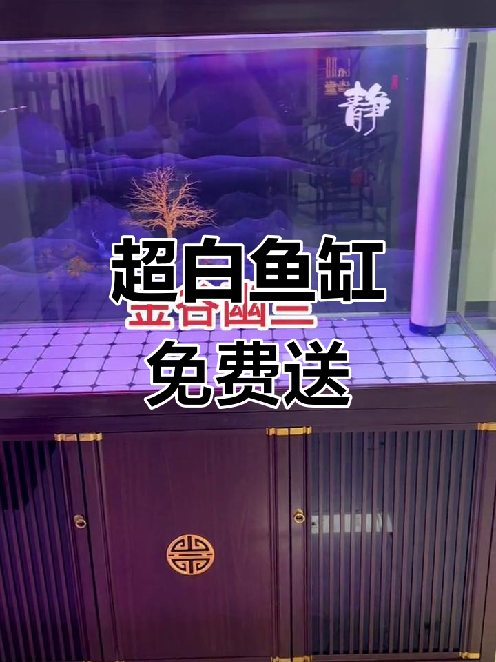 太原利忠水族馆超白鱼缸大放送,免费赠送!