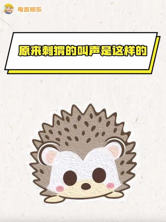头一次听见刺猬的叫声～
