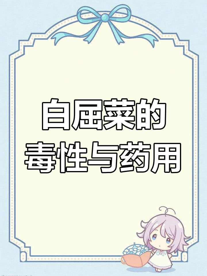 白屈菜:药与毒的双重身份,如何正确使用?
