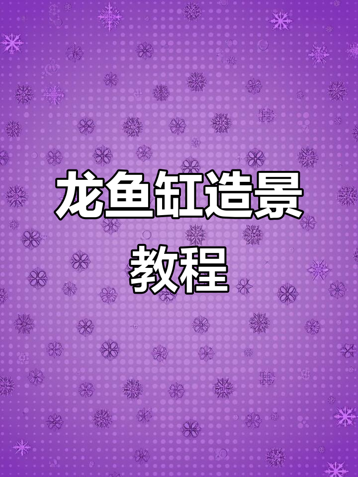 龙鱼缸原生干造景,打造神秘视觉效果