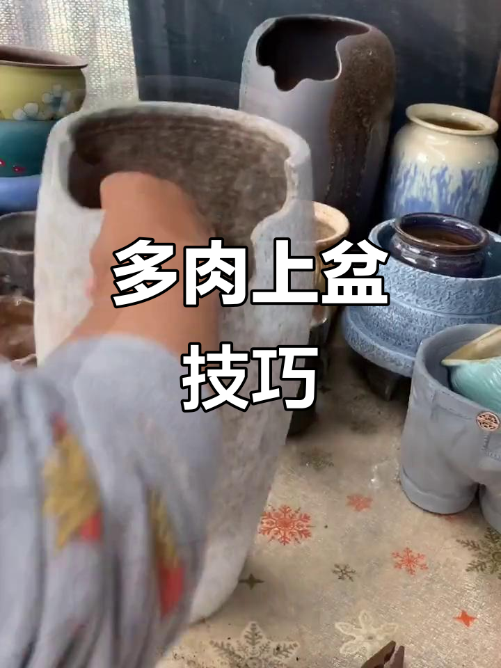 用砖头、陶粒和铁丝打造个性化多肉花盆，轻松塑造白雪公主造型