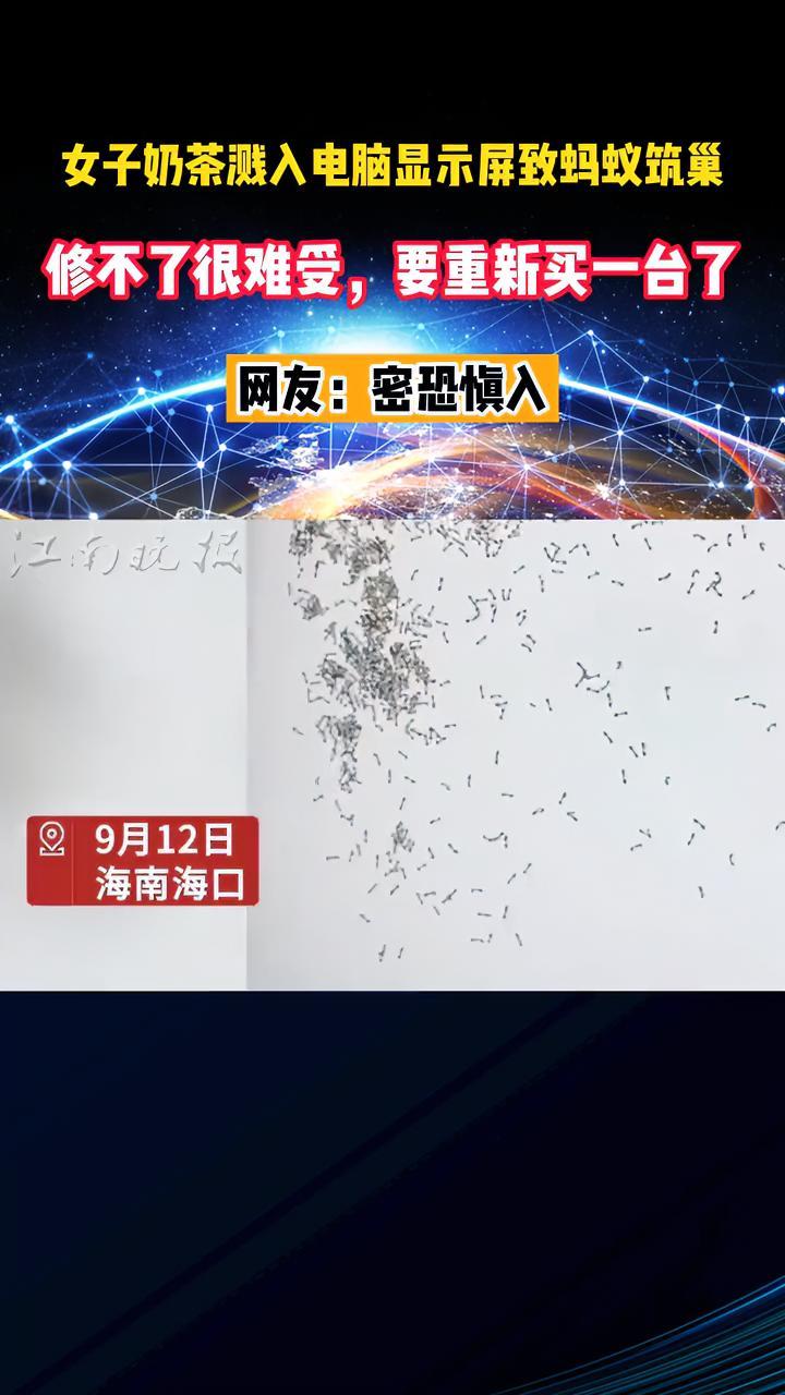 「女子 奶茶溅入电脑显示屏致蚂蚁筑巢:修不了很难受,要重新买一台了」9月12日,海南海口。