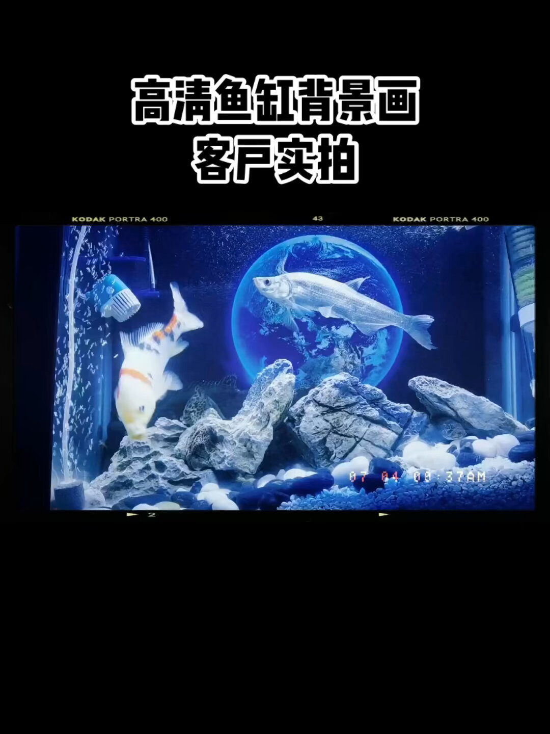 高清鱼缸背景画