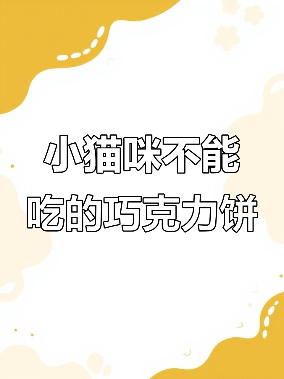 小猫咪不能吃巧克力饼干,吃了会中毒!