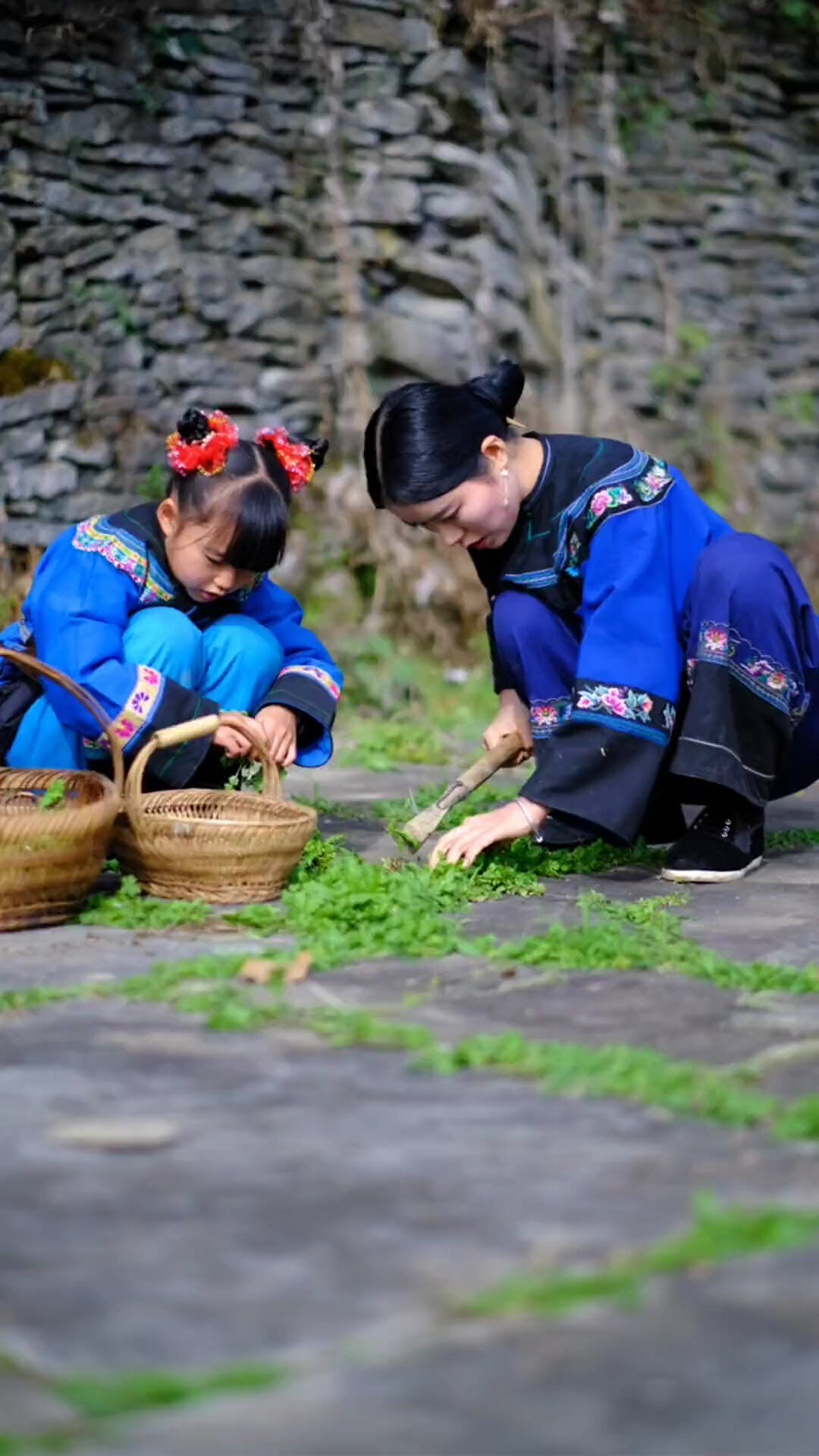 野芥菜,童年美食,你吃过吗?