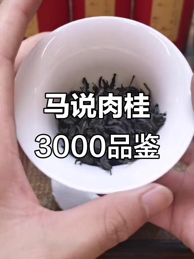 八马马说肉桂3000品鉴:高火茶汤,果香微现