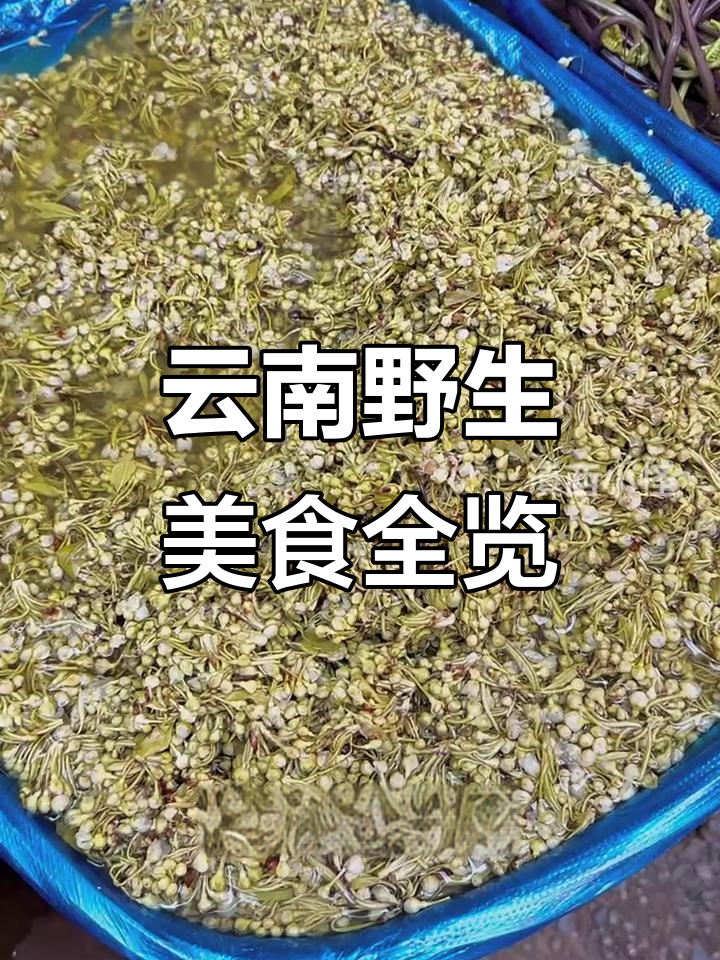 云南春季野菜大揭秘，这些美味你尝过吗？